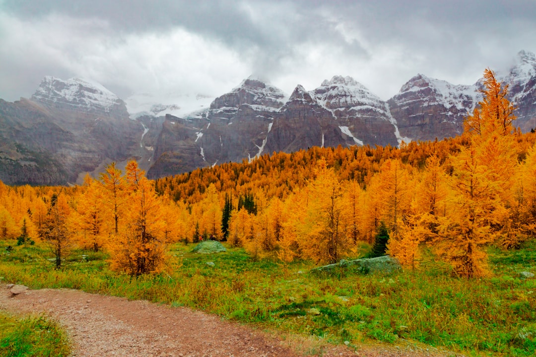 Photo rocky mountains