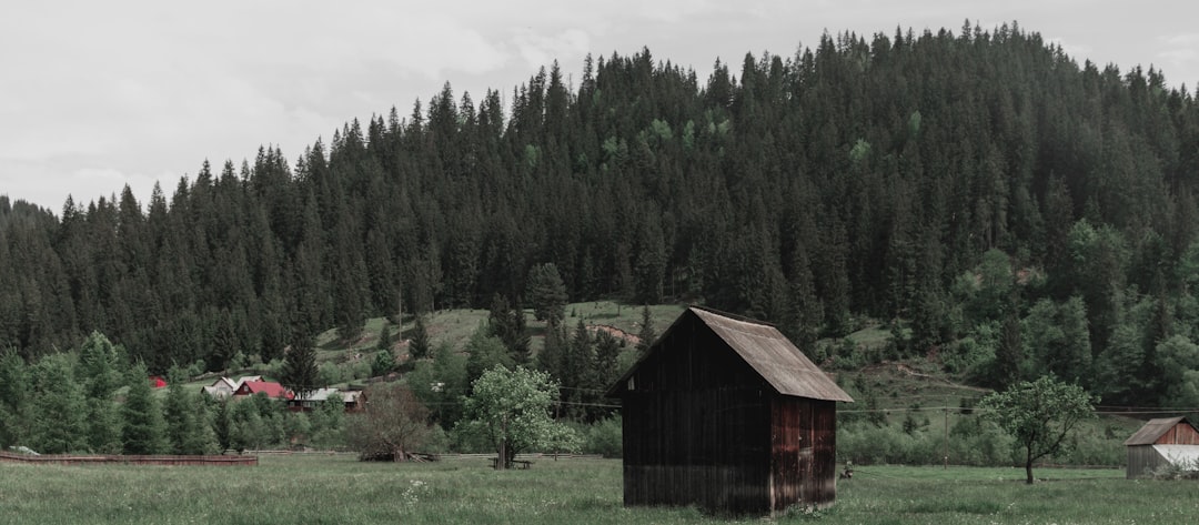 Photo reverse rural decline