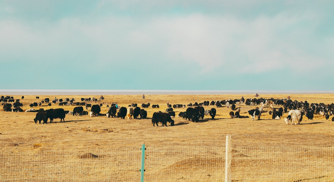 Photo Great Plains depopulation