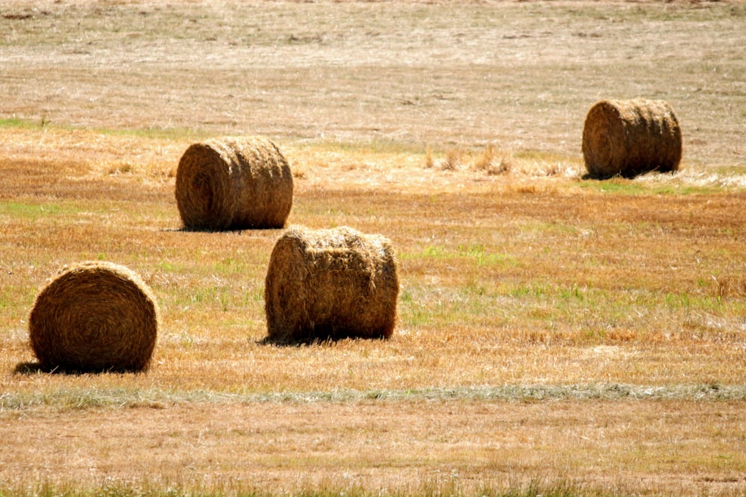 Photo plains economic crisis