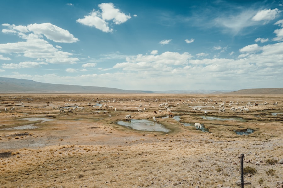 Photo ogallala aquifer depletion