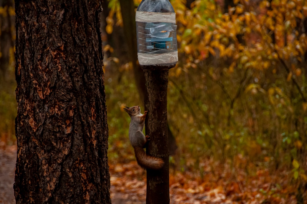 Photo water scarcity