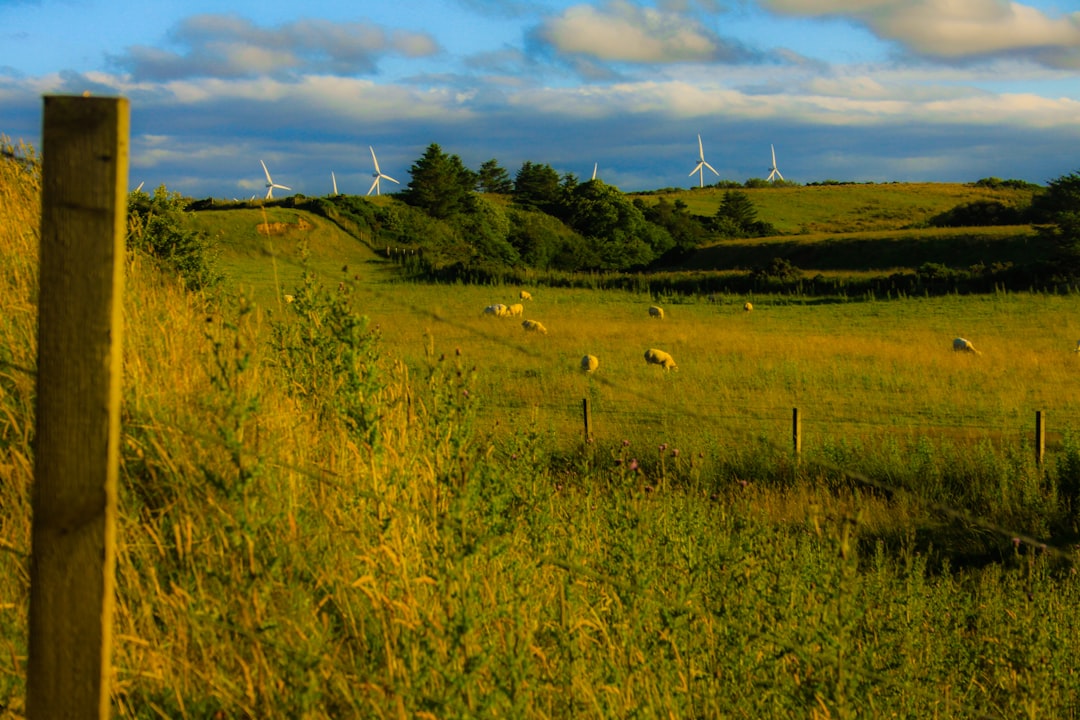 Photo wind energy rural communities