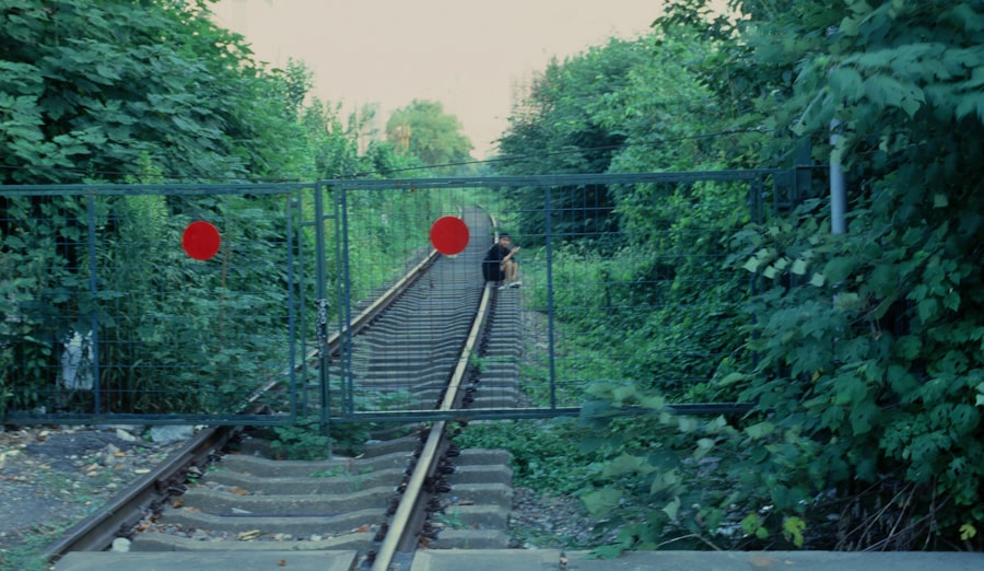 Photo drake crossing