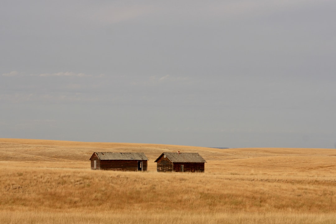 Photo great plains life