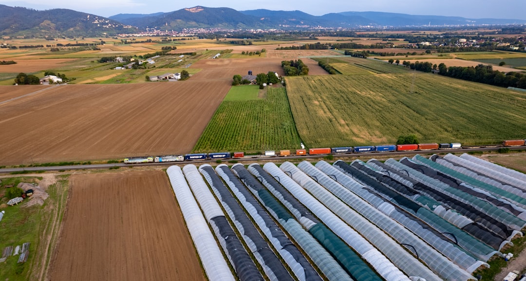 Photo sustainable farming