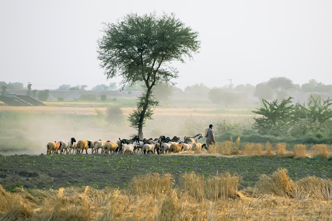 Photo rural out migration
