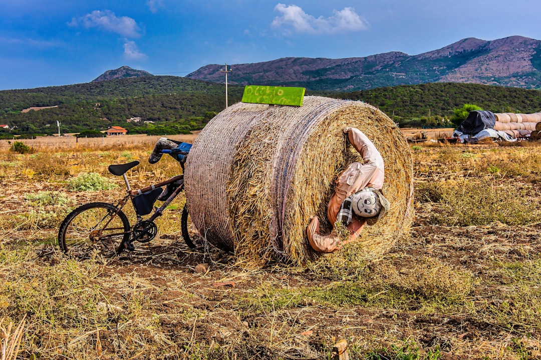 Photo farming challenges