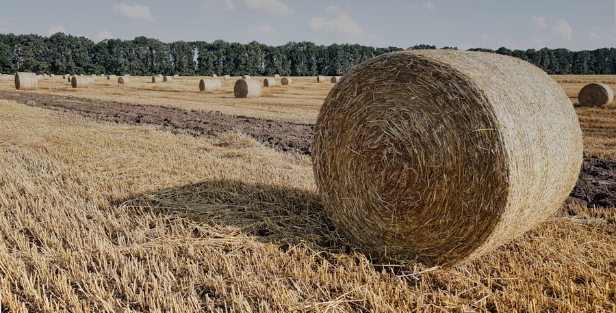 Photo farming challenges