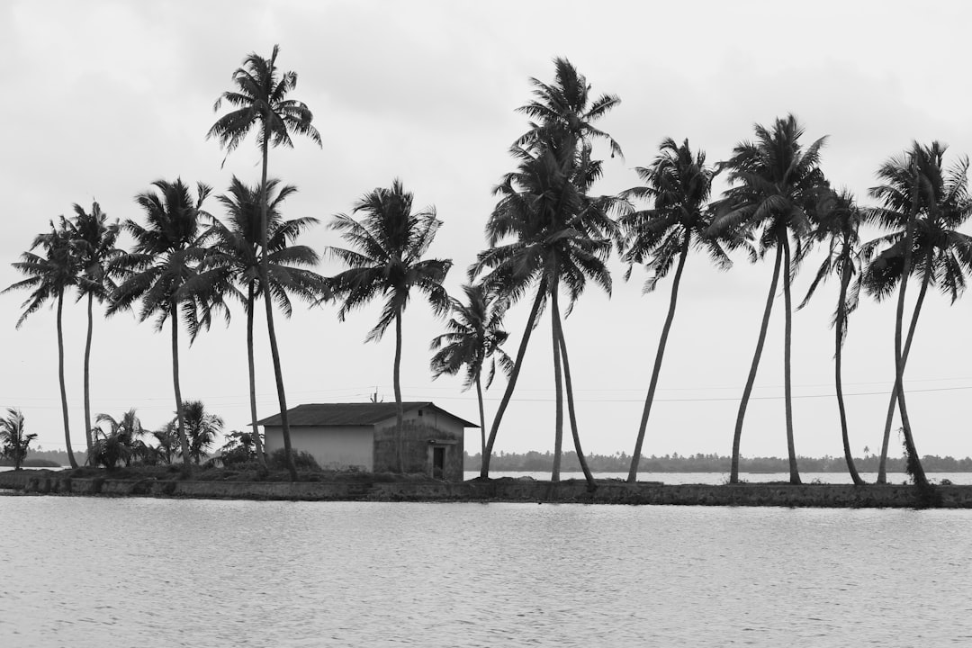 Photo Bikini Atoll historical injustice