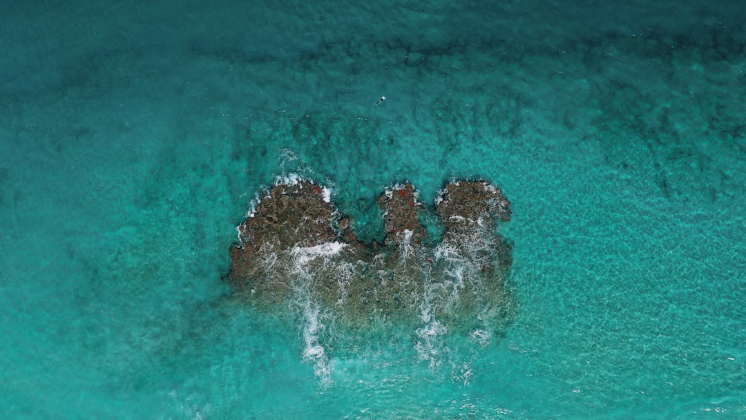 Photo Bikini Atoll ghost fleet diving
