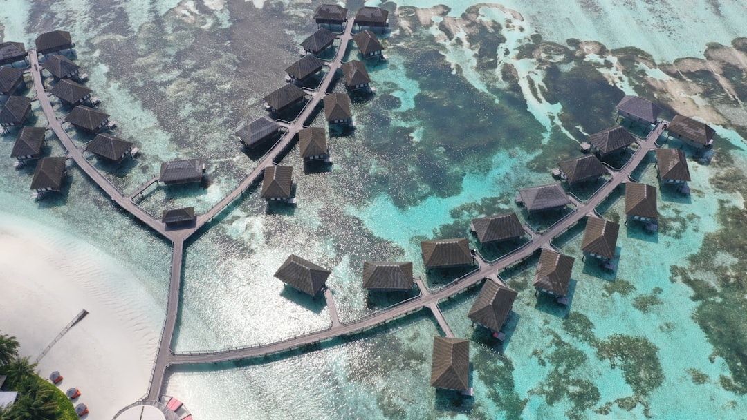 Photo Bikini Atoll coral reef recovery