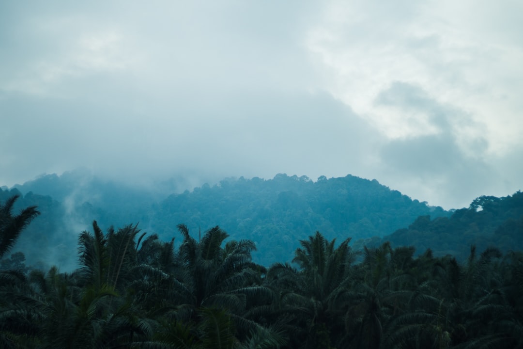 Photo forbidden paradise documentary