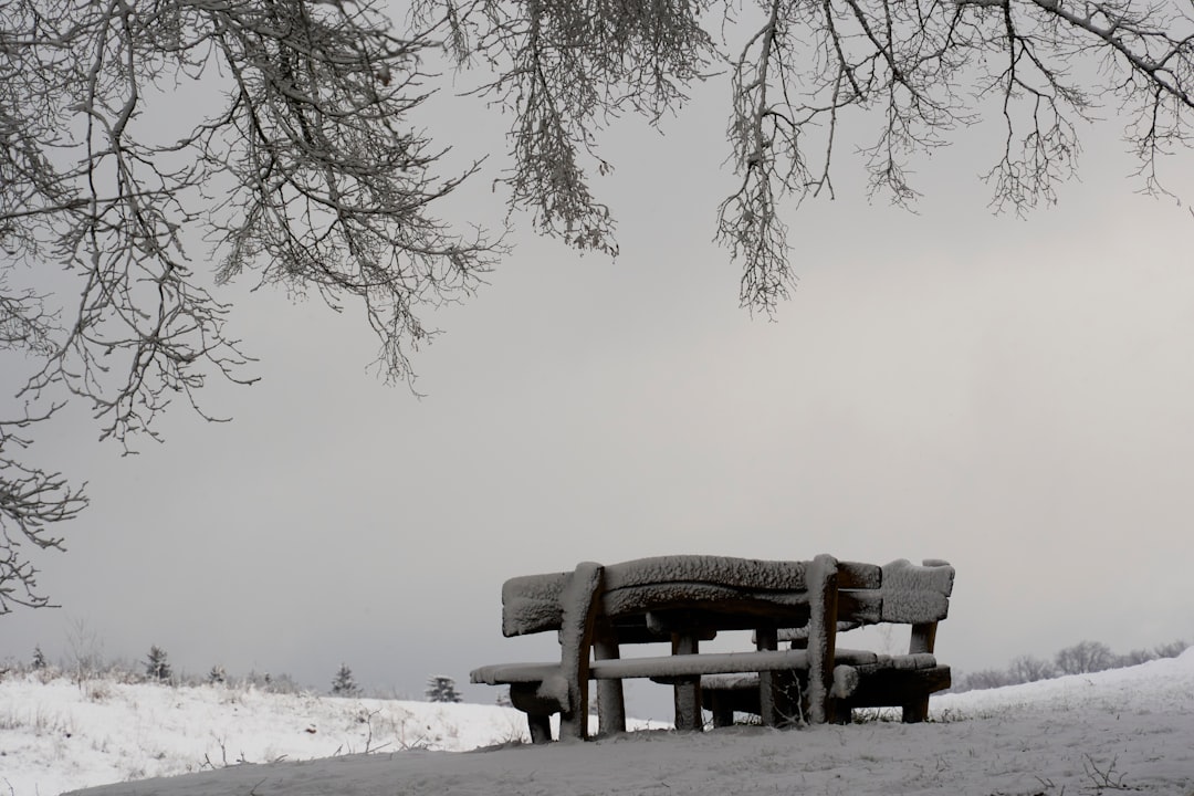 Photo Nevadas emptiness