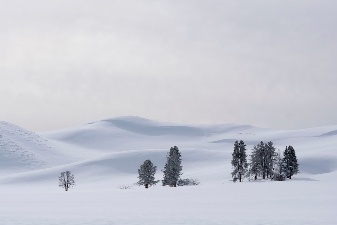Photo Nevadas Hidden Land Story