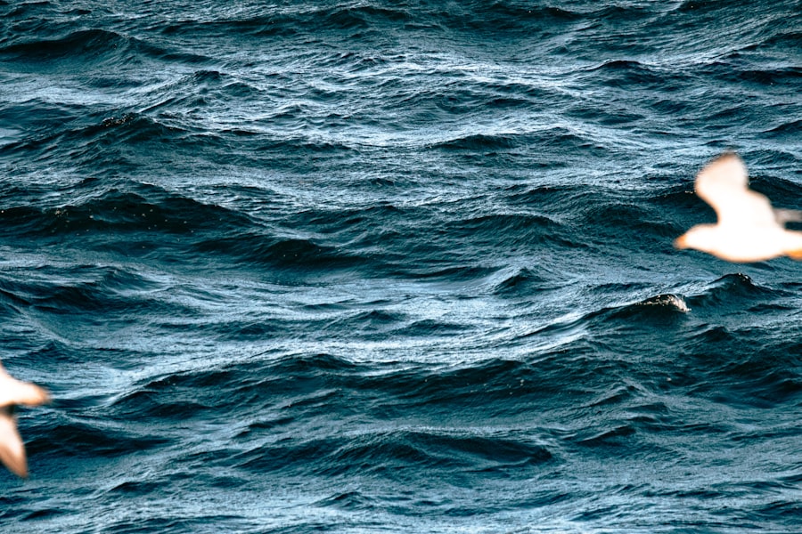 Photo drake passage waves