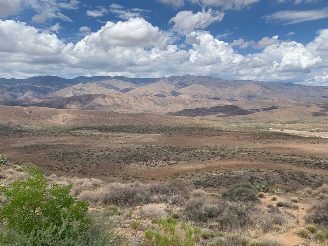 Photo nevada land ownership map