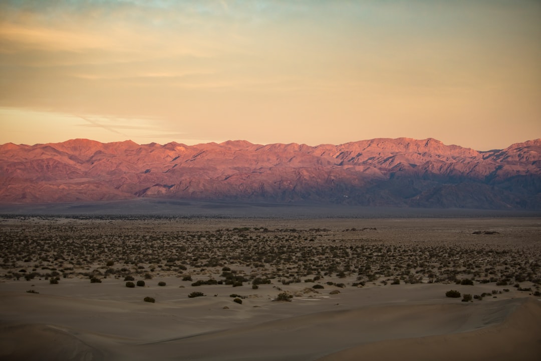 Photo desert living challenges nevada