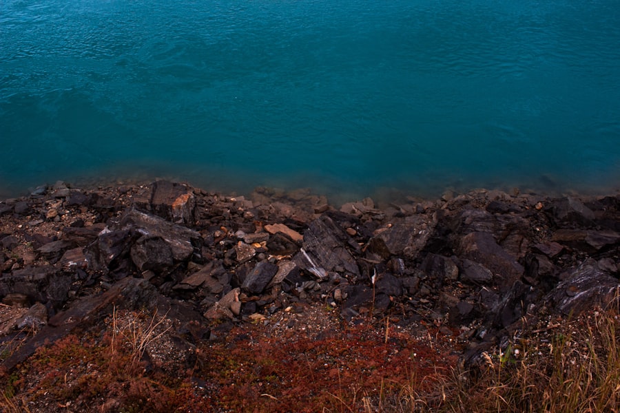Photo marine life Gatún Lake drought