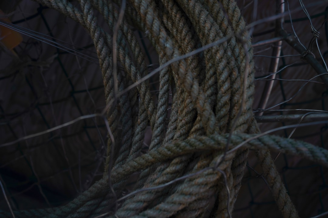 Photo supply chain risk