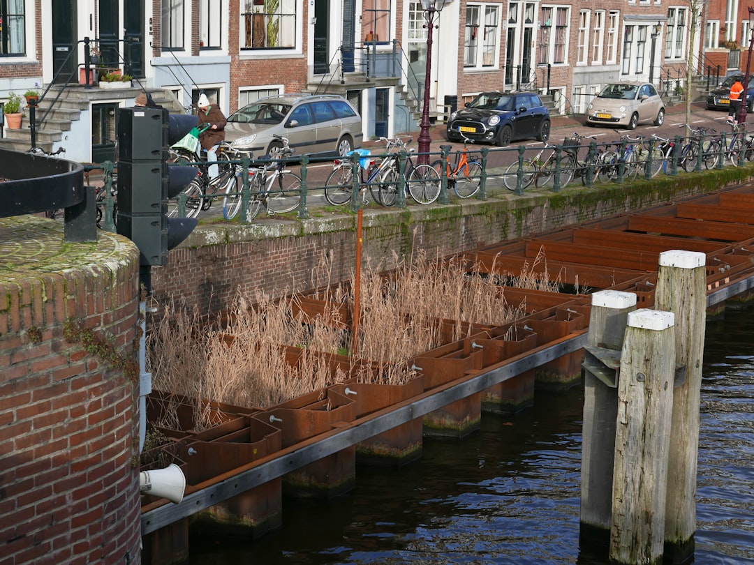 Photo canal closure