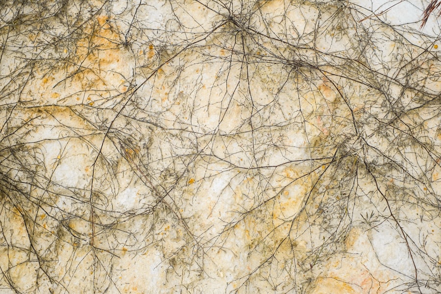 Photo farming desert