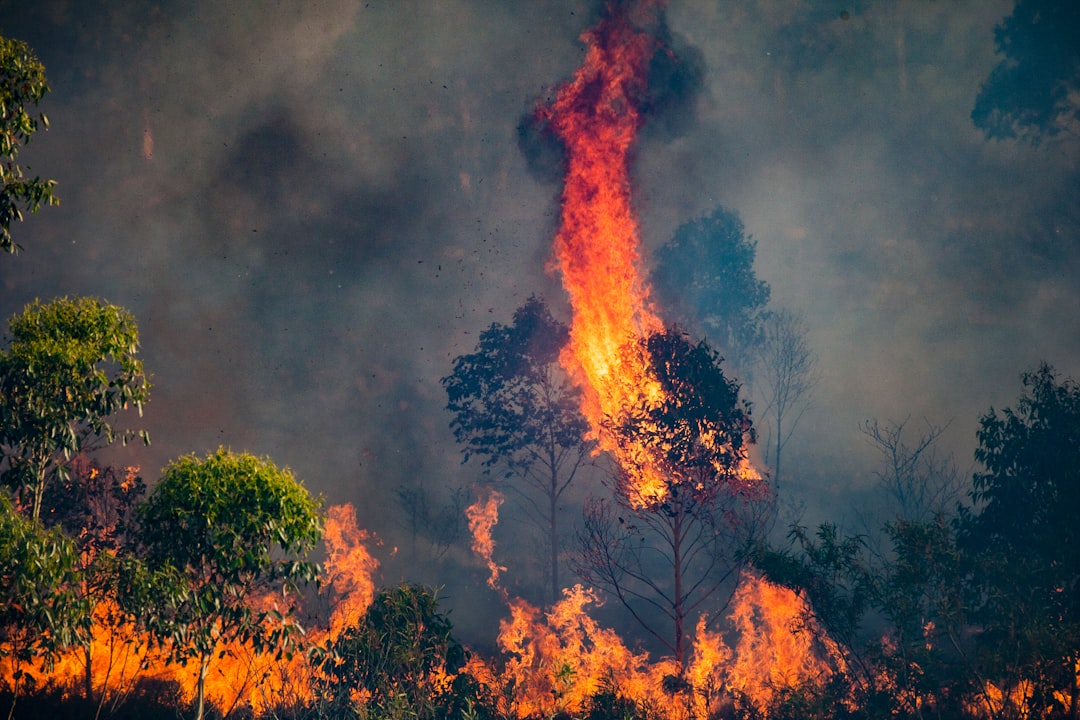 Photo wildfire risk utility hardening