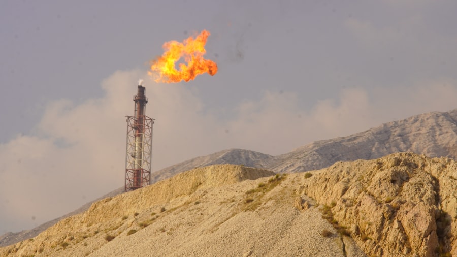 Photo Petroleum Reserve Strategy