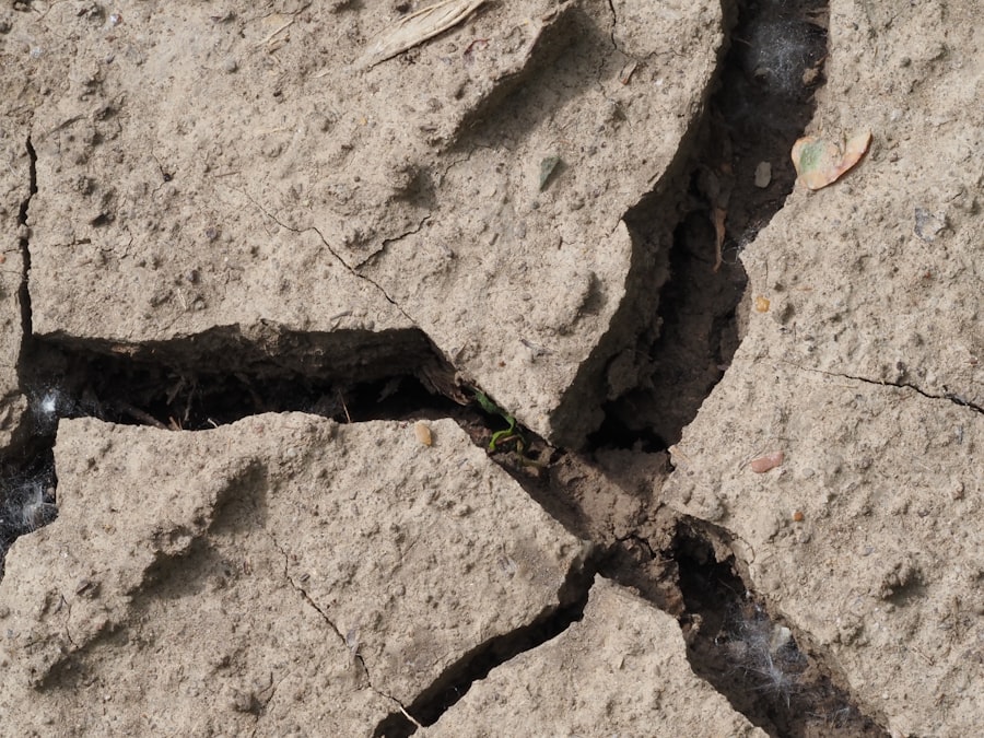 Photo earthquake