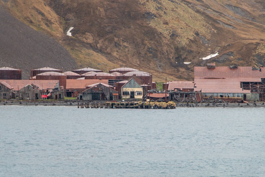 Photo shackleton