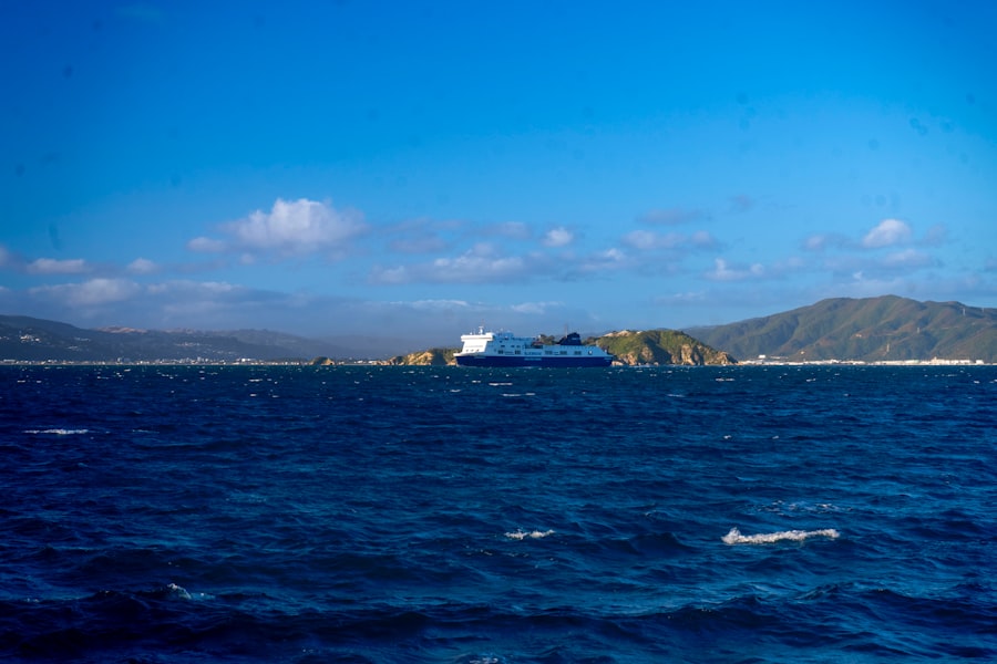 Photo cruise ships, drake passage