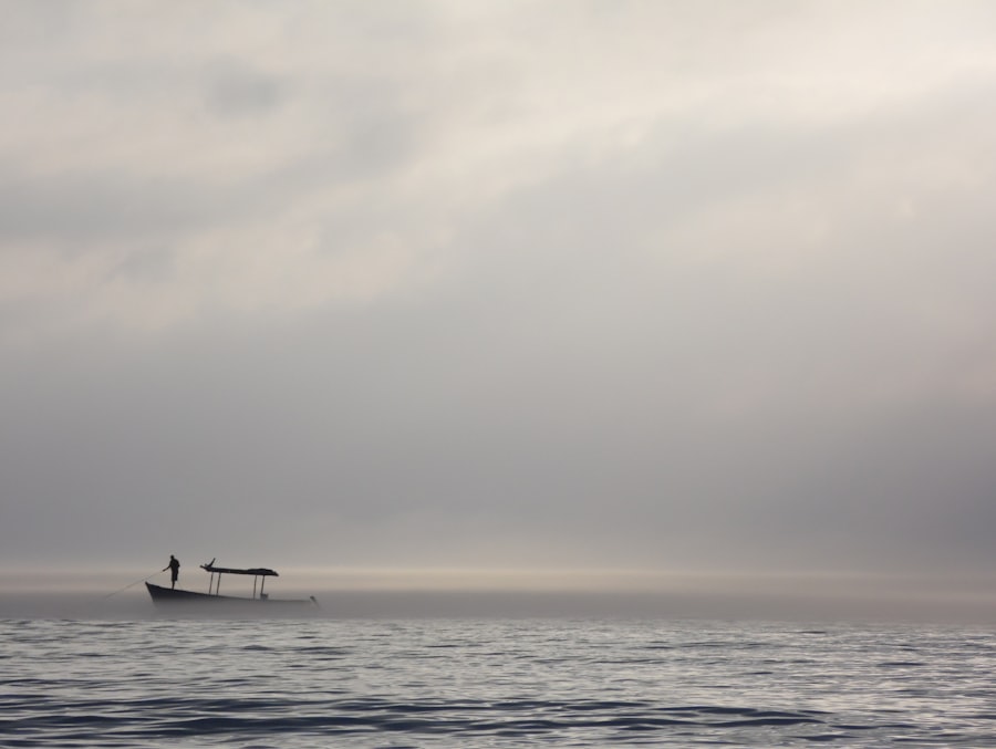 Photo rowing across drake passage