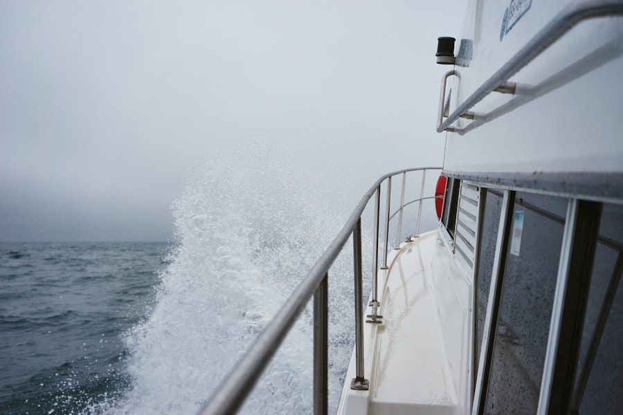 Photo cruising through the drake passage