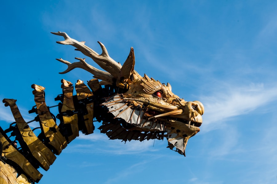 Photo dragon