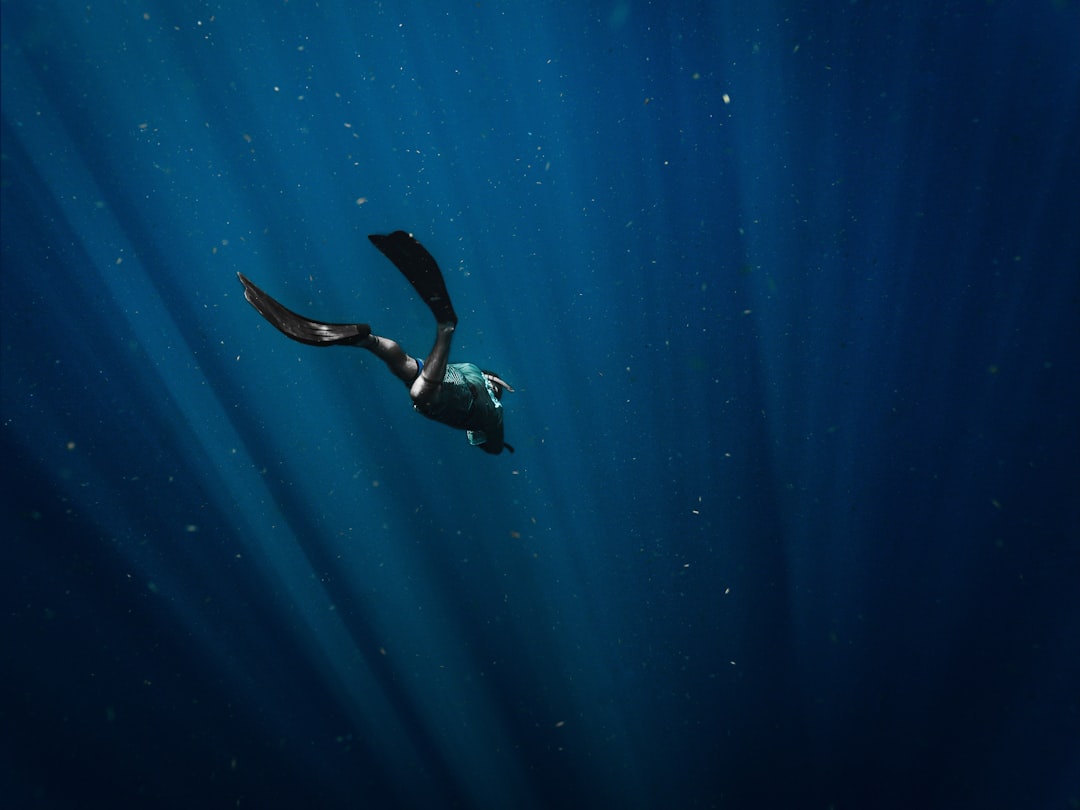 Photo diving