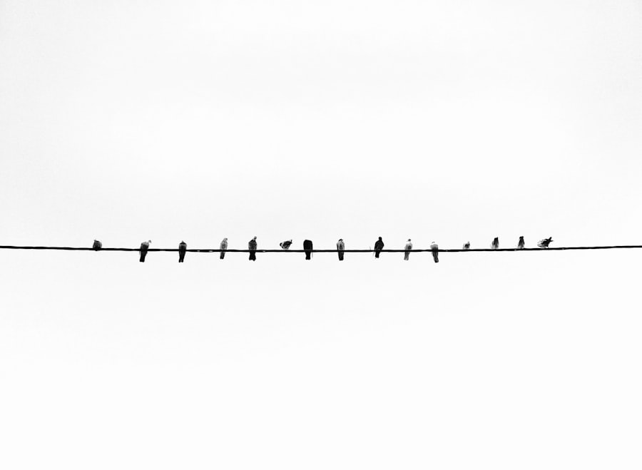 Photo drake famous line