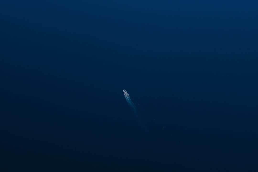 Photo sea monster