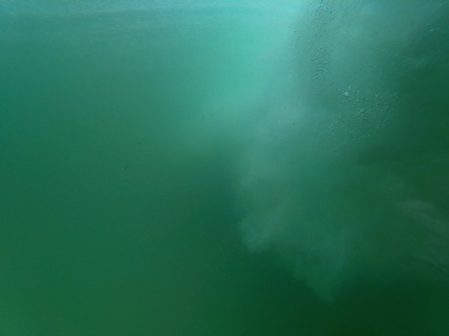 Photo sea monster