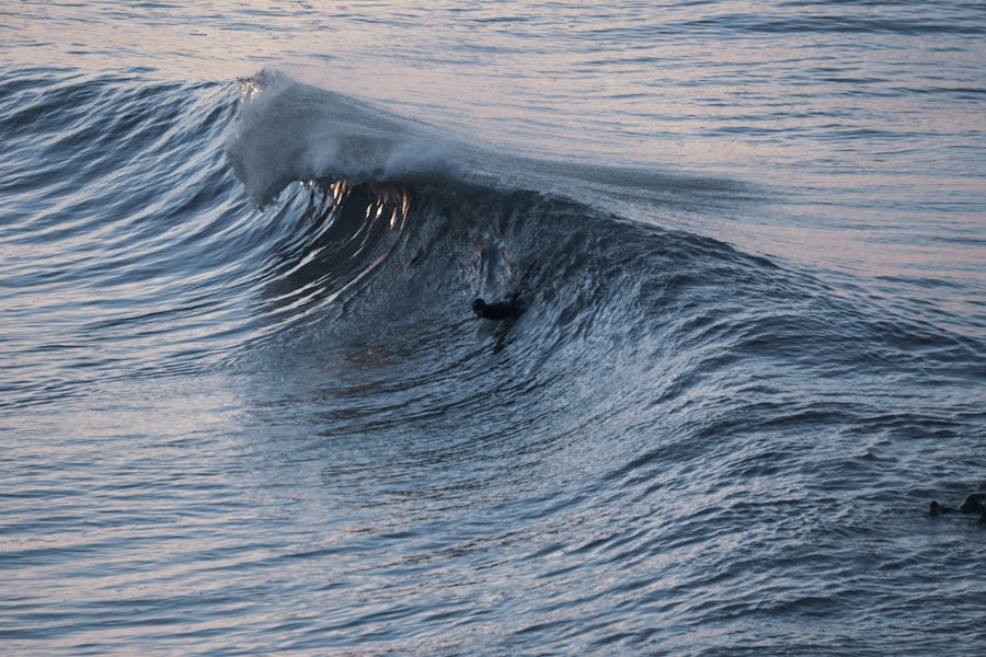Photo monster waves