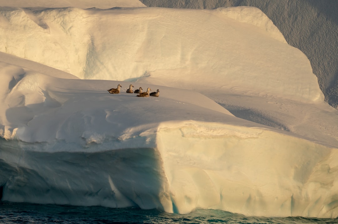 Photo drake passage dangerous