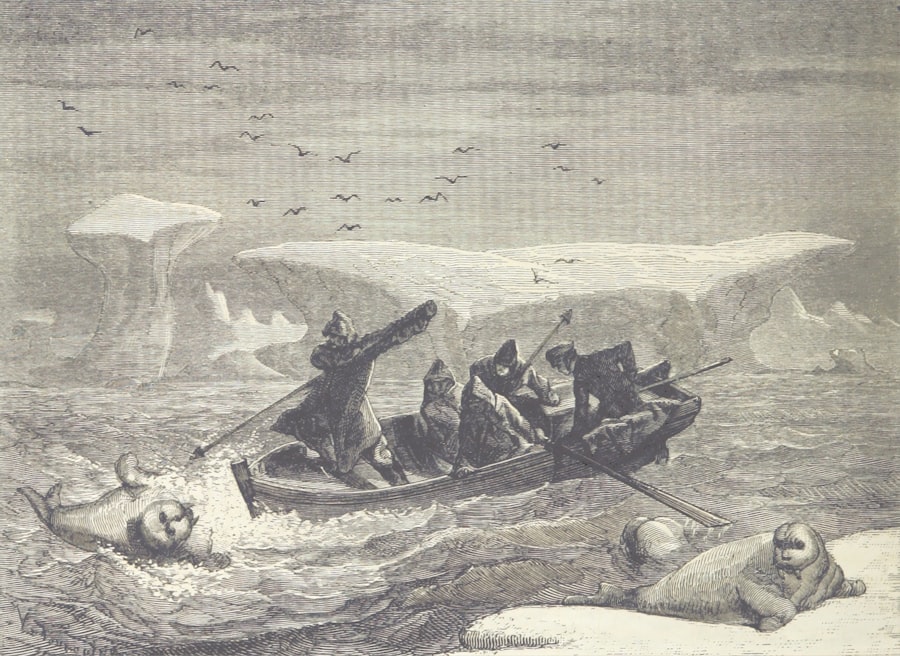 Photo drake passage magellan