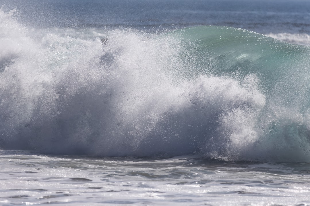 Photo wave height forecast