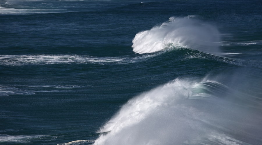 Photo wave height forecast