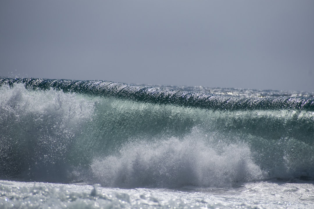 Photo wave height forecast