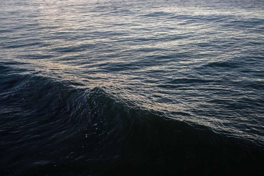 Photo wave height