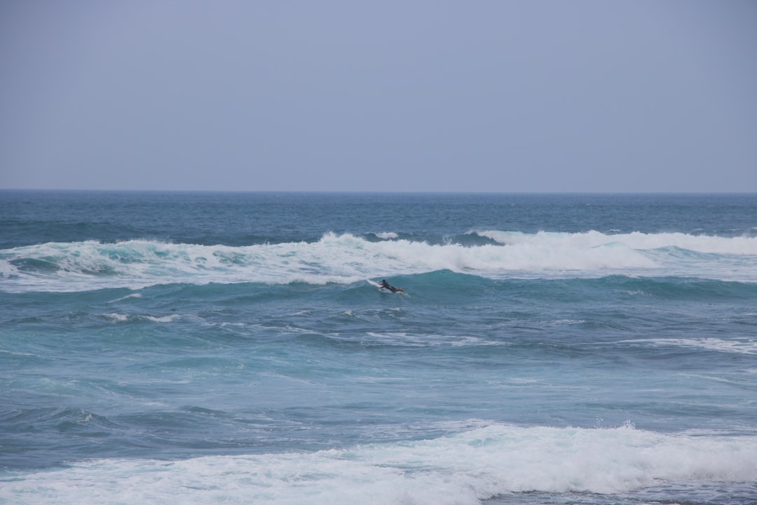 Photo wave height