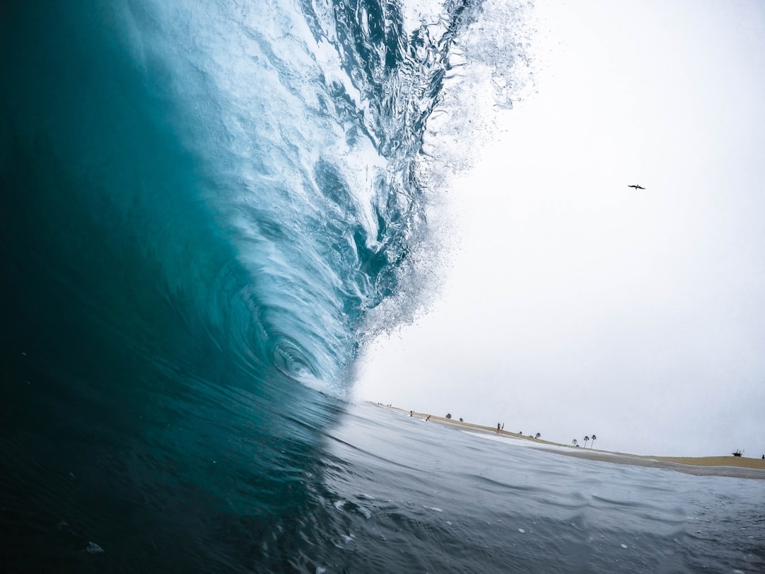 Photo wave height