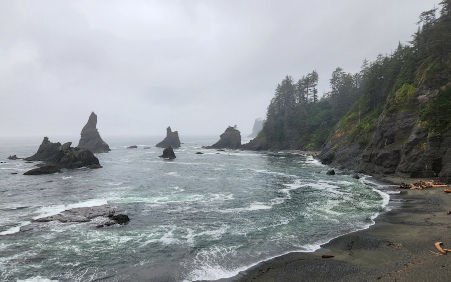 pacific northwest political culture