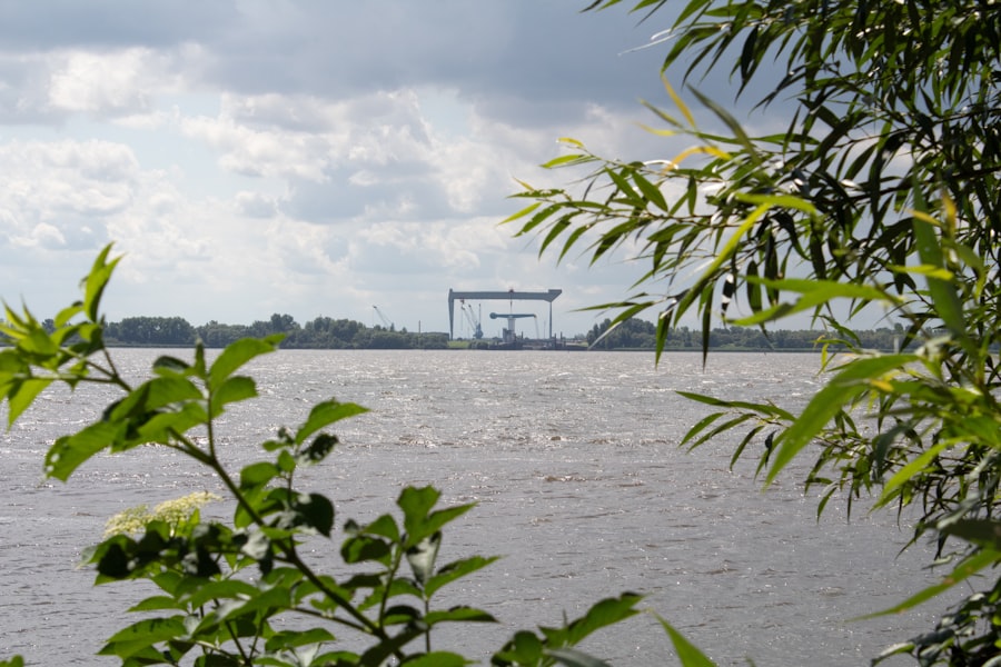 mississippi river delta culture