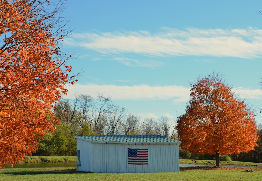 colin woodard american nations